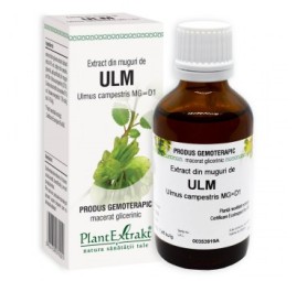 Extract din muguri de ULM 50 ml